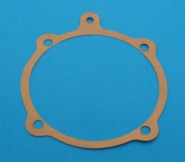 Gasket, Wraith water pump (all)